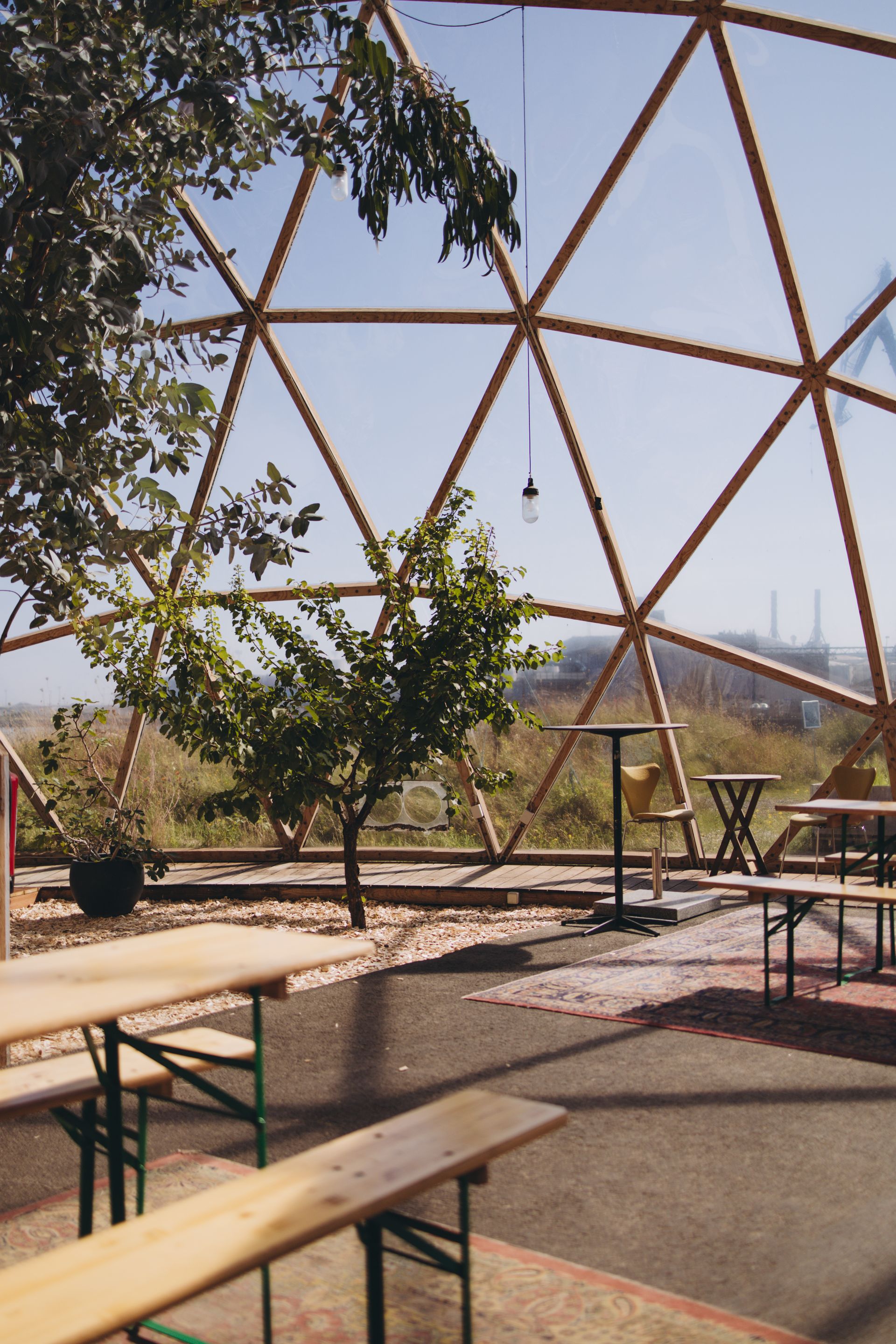 Interior del domo (foto de muestra)
